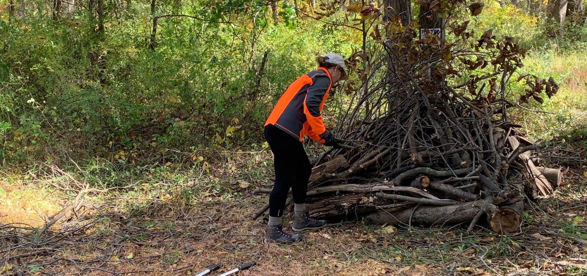 National Wildlife Federation Certifies New Wildlife Habitat Garden in Oldwick, New Jersey | Cold Brook Farm