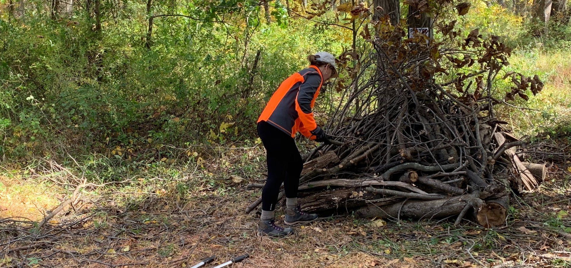 National Wildlife Federation Certifies New Wildlife Habitat Garden in Oldwick, New Jersey | Cold Brook Farm