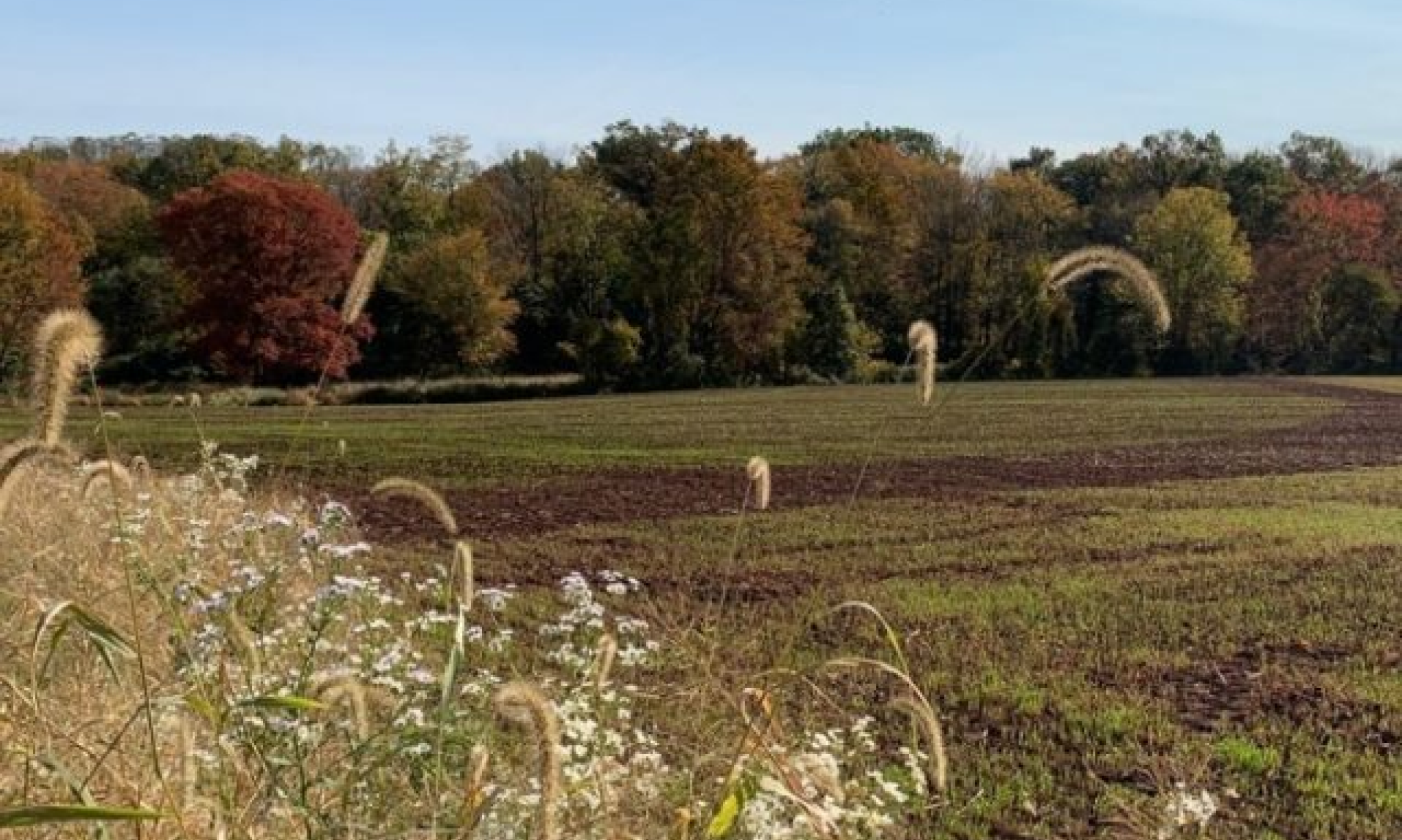Building the Passive House Legacy Through Responsible Land Stewardship