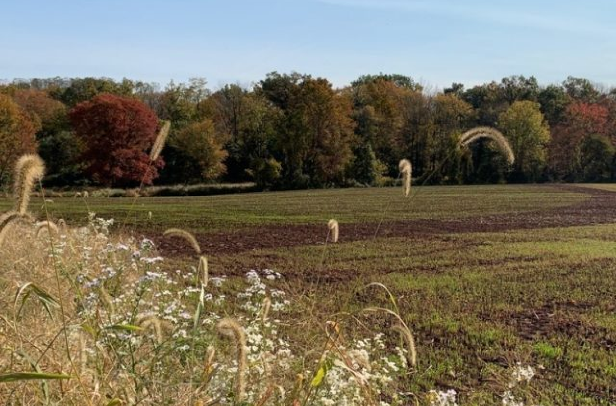 Building the Passive House Legacy Through Responsible Land Stewardship