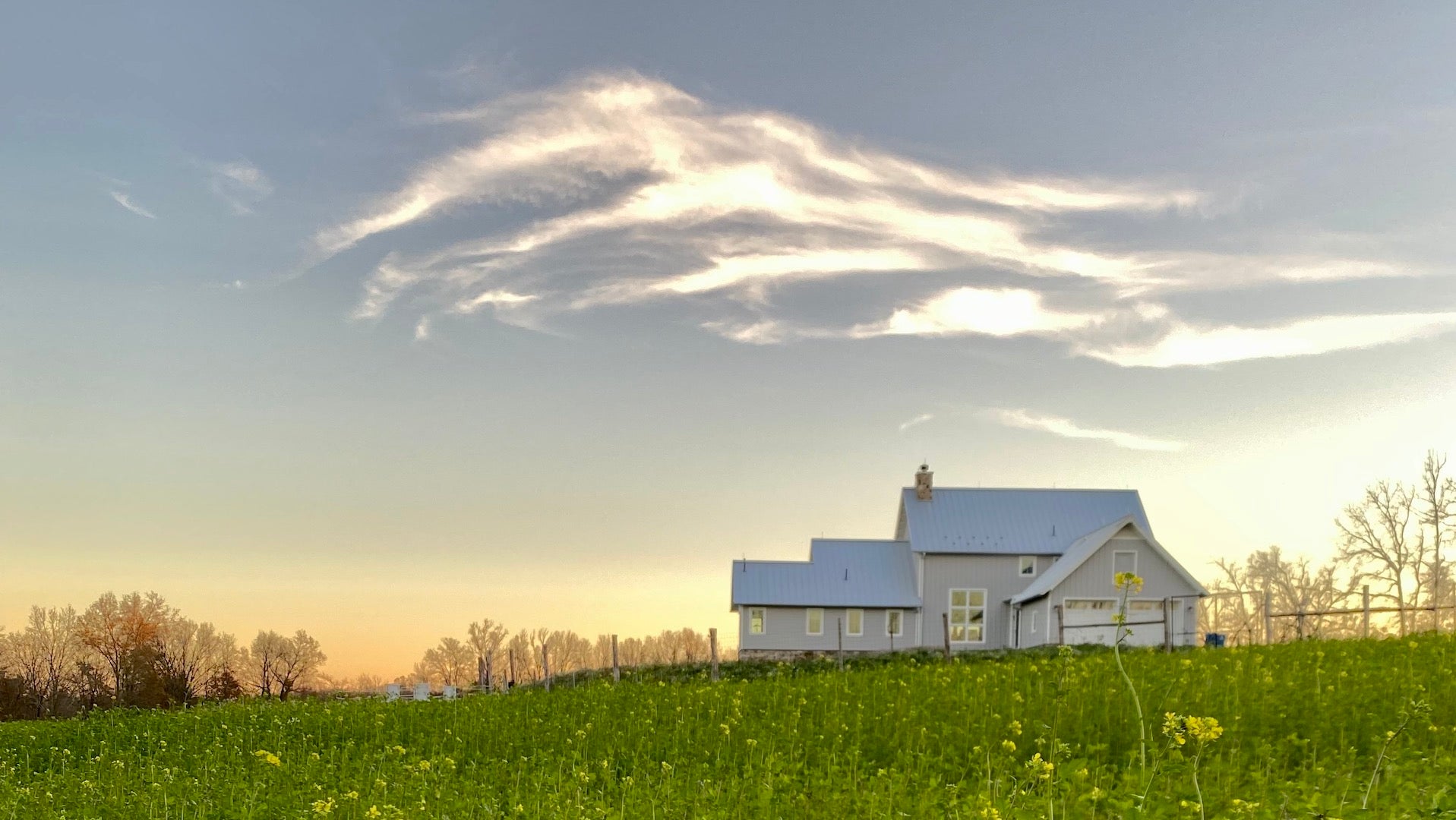Cold Brook Farm: A Year to Remember
