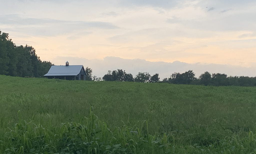 Local Farm House: Cold Brook Home Sourcing