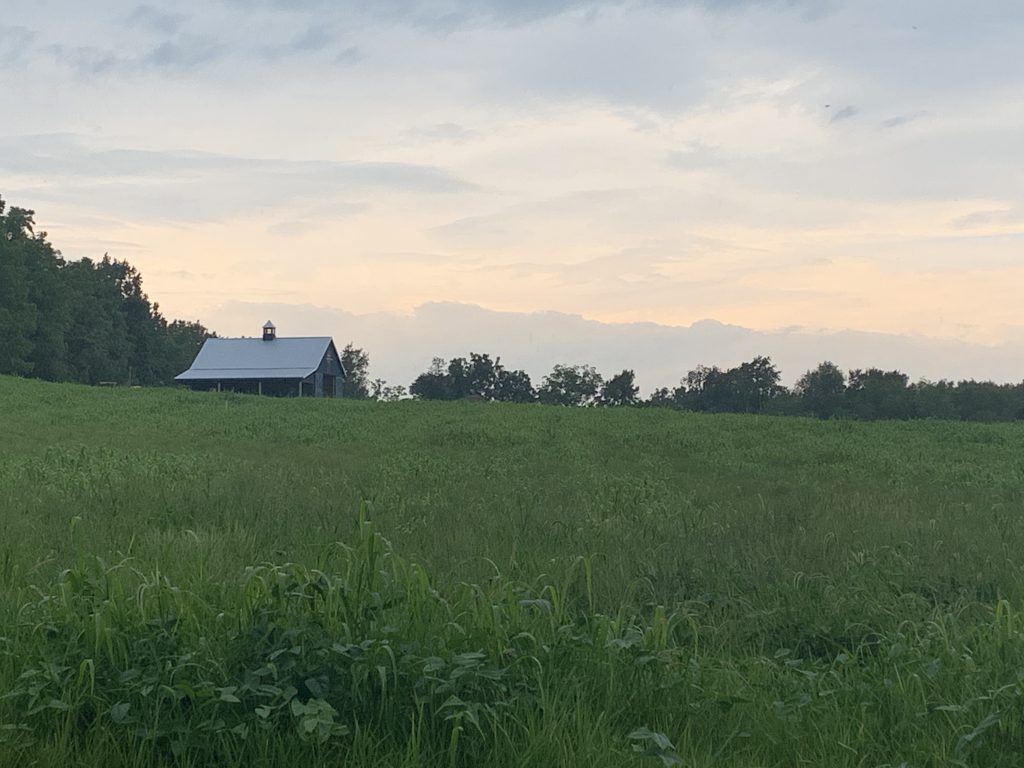 Local Farm House: Cold Brook Home Sourcing