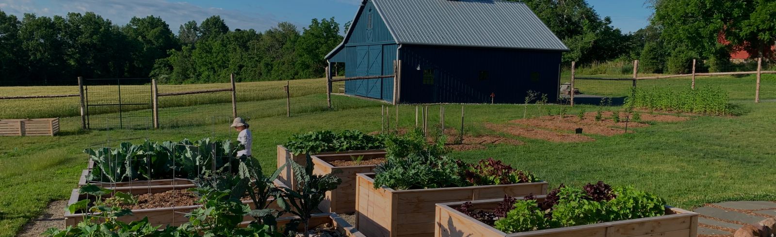 Could Our Food be Healthier? Learn More About Regenerative Agriculture