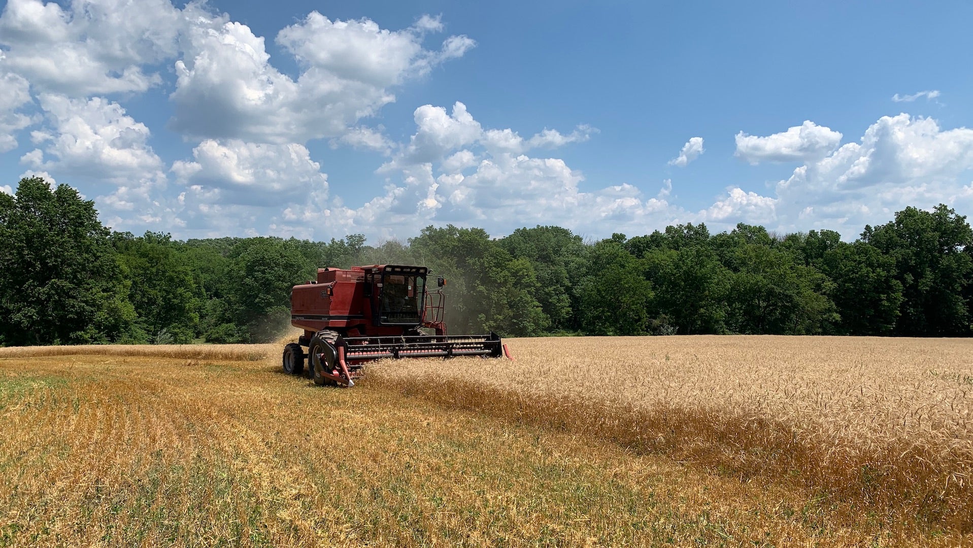 Cold Brook Farm – Thoughts on Our Second Season Regeneratively Farming