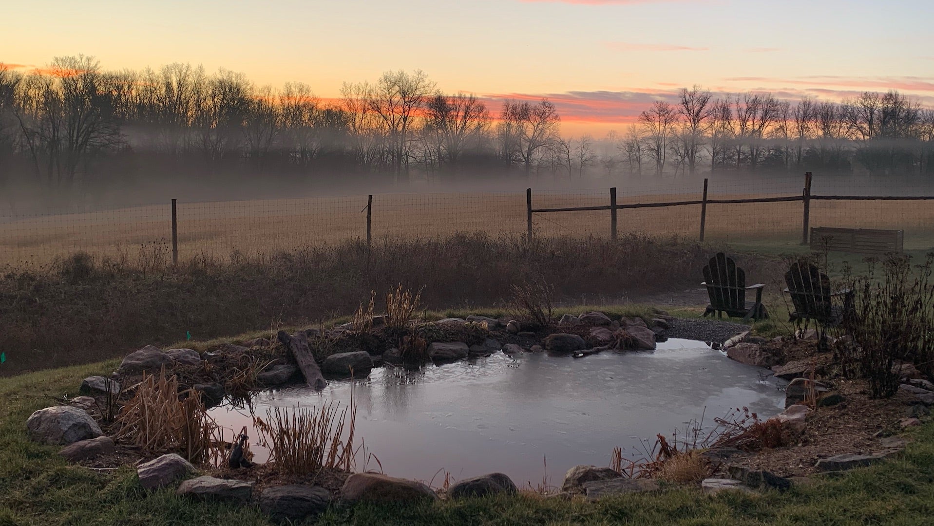 New Year's Day at Cold Brook Farm, NJ