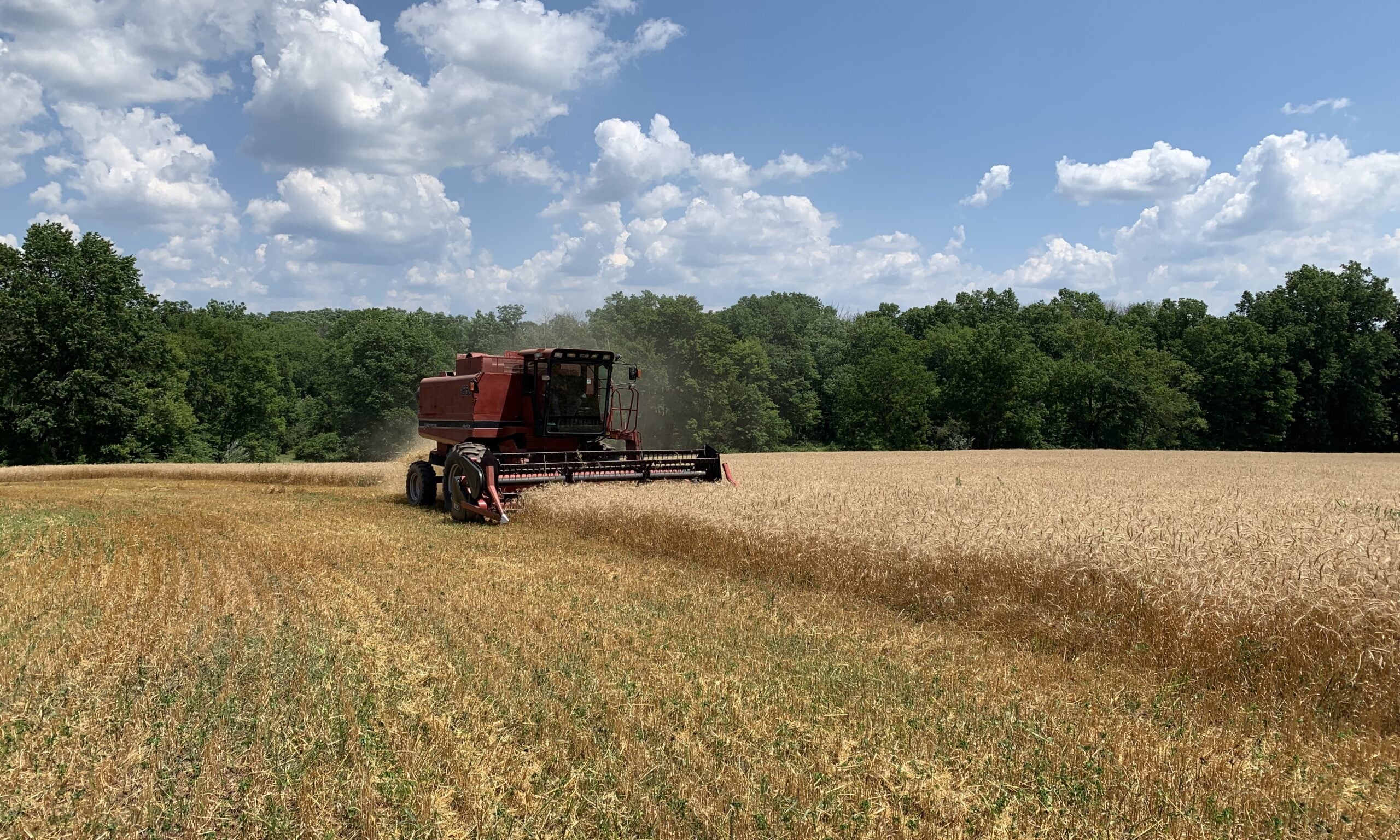 We Once Were the Breadbasket of America