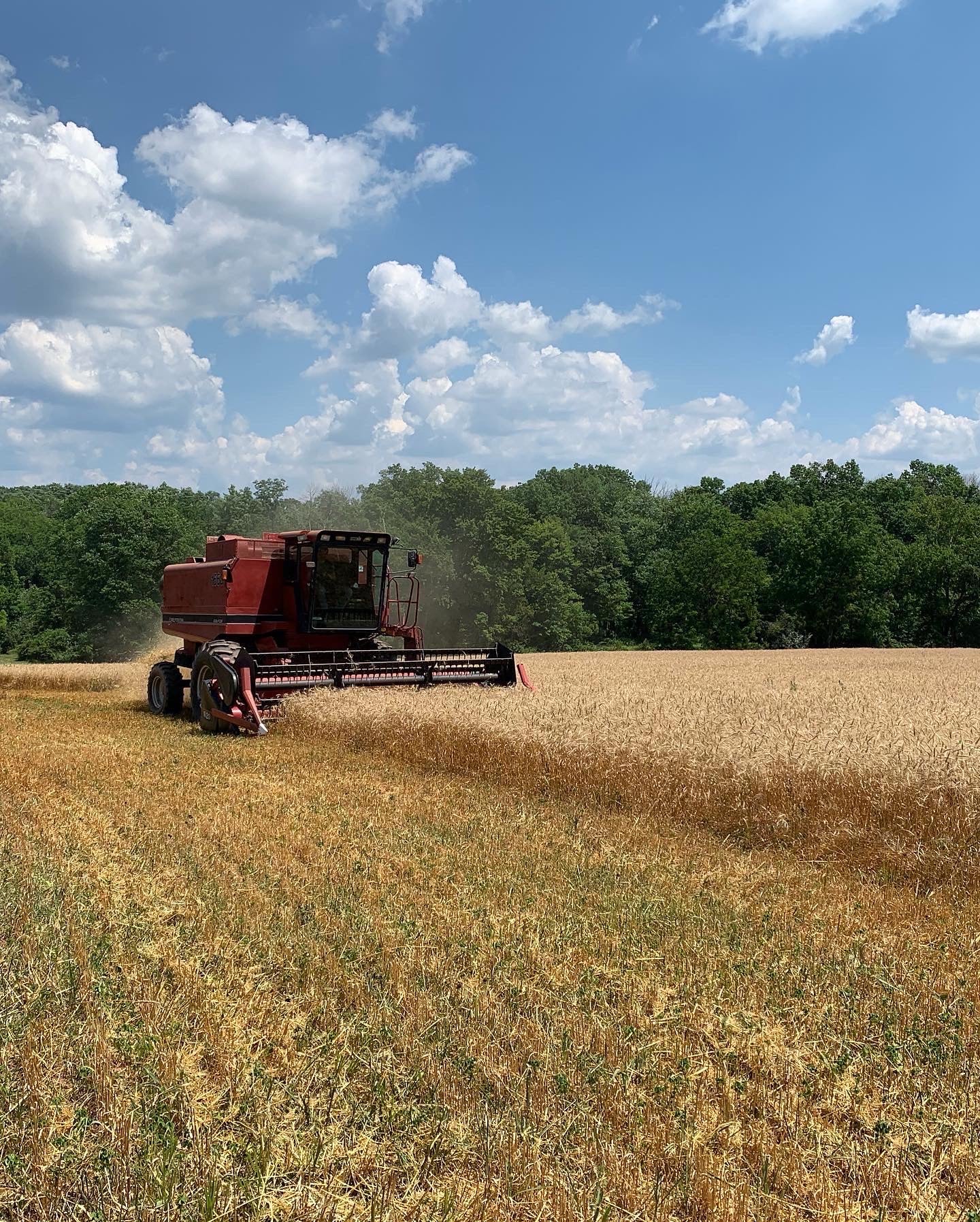 Combining_Glenn_60236033-d02d-47d5-8a7f-09493553b085.jpg