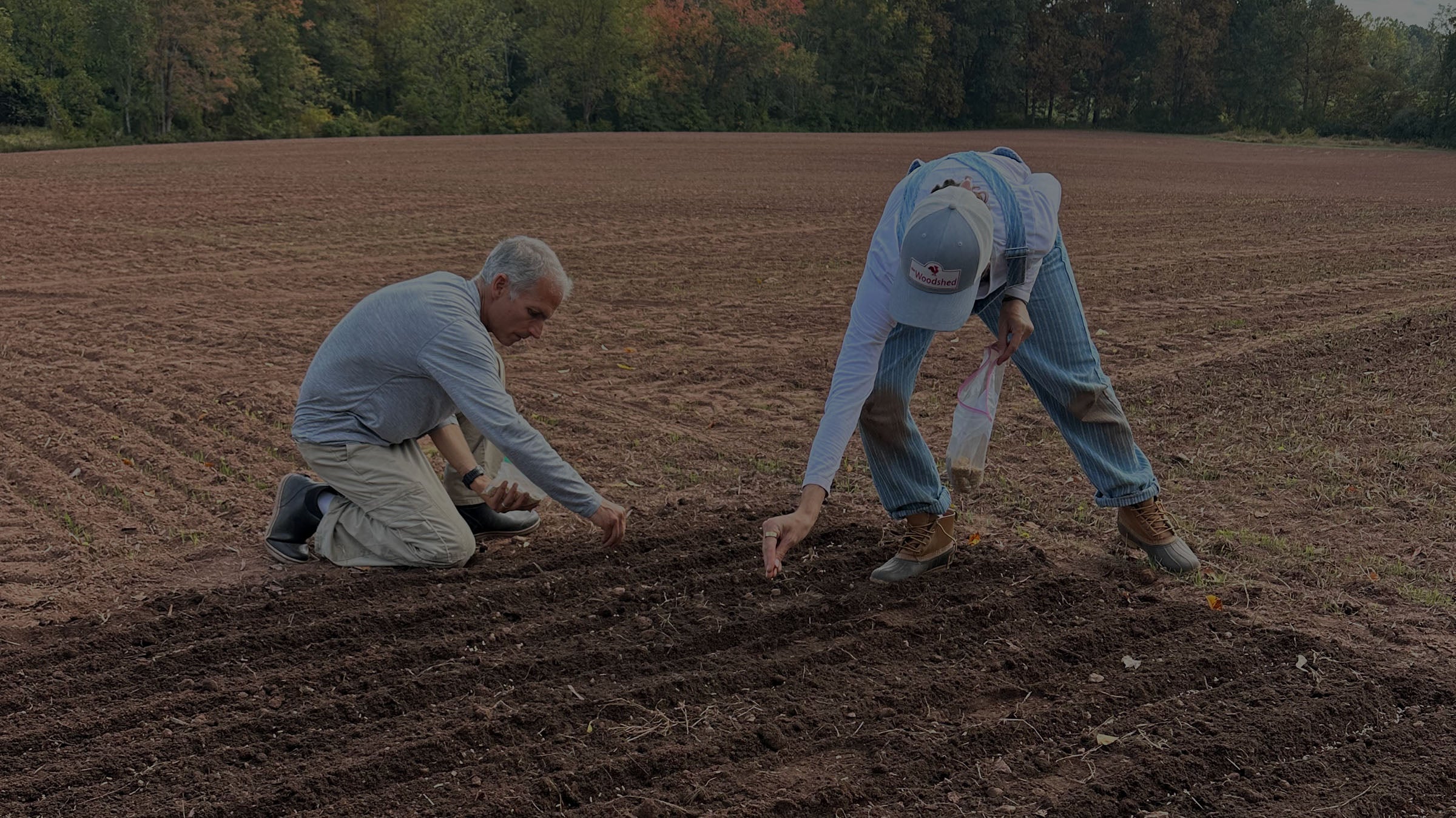 Two farmers working in a freshly plowed field under a cloudy sky, with trees in the background.