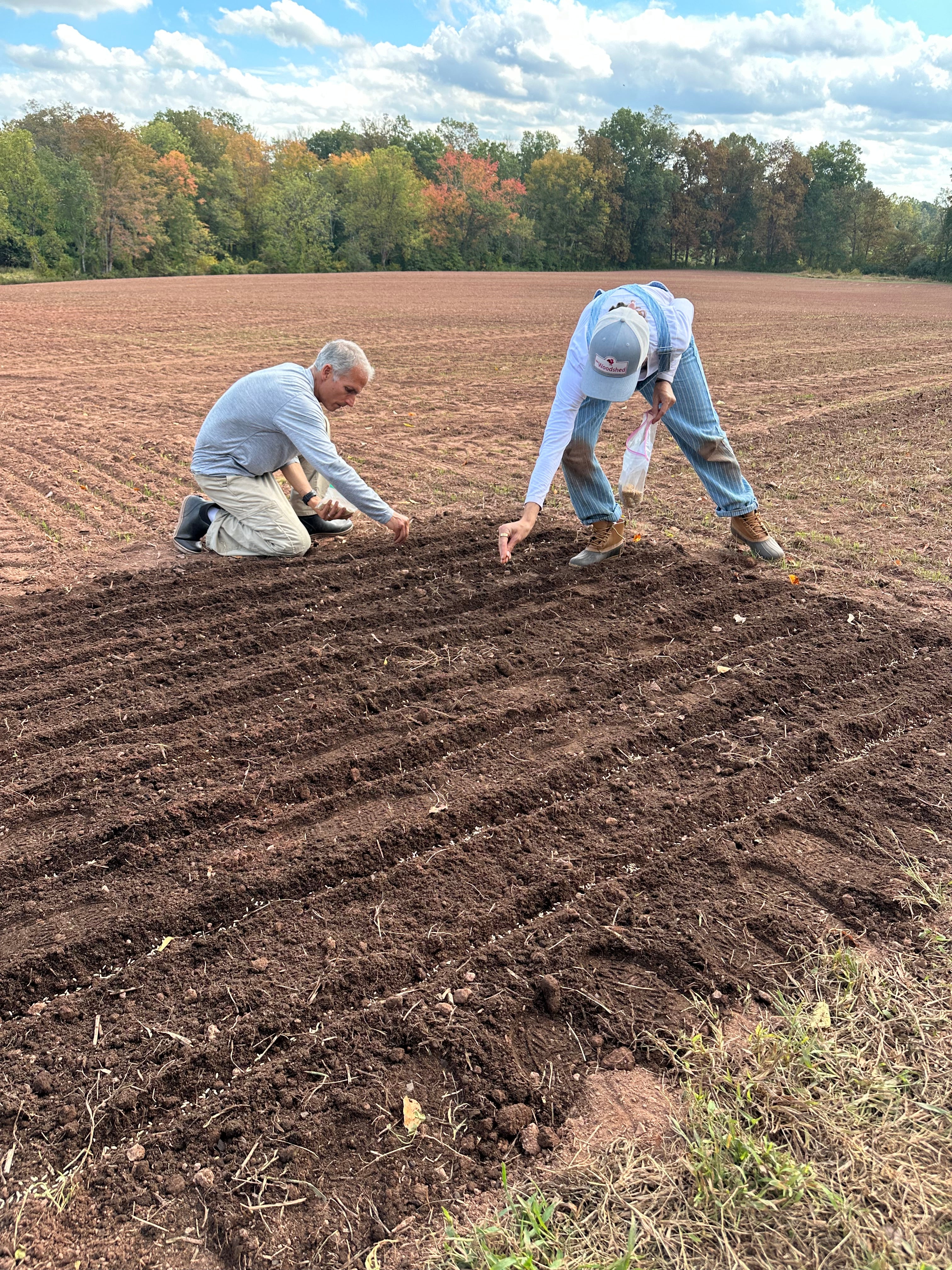 Two people working in a freshly tilled brown field outdoors under a blue sky with clouds and trees in the background.