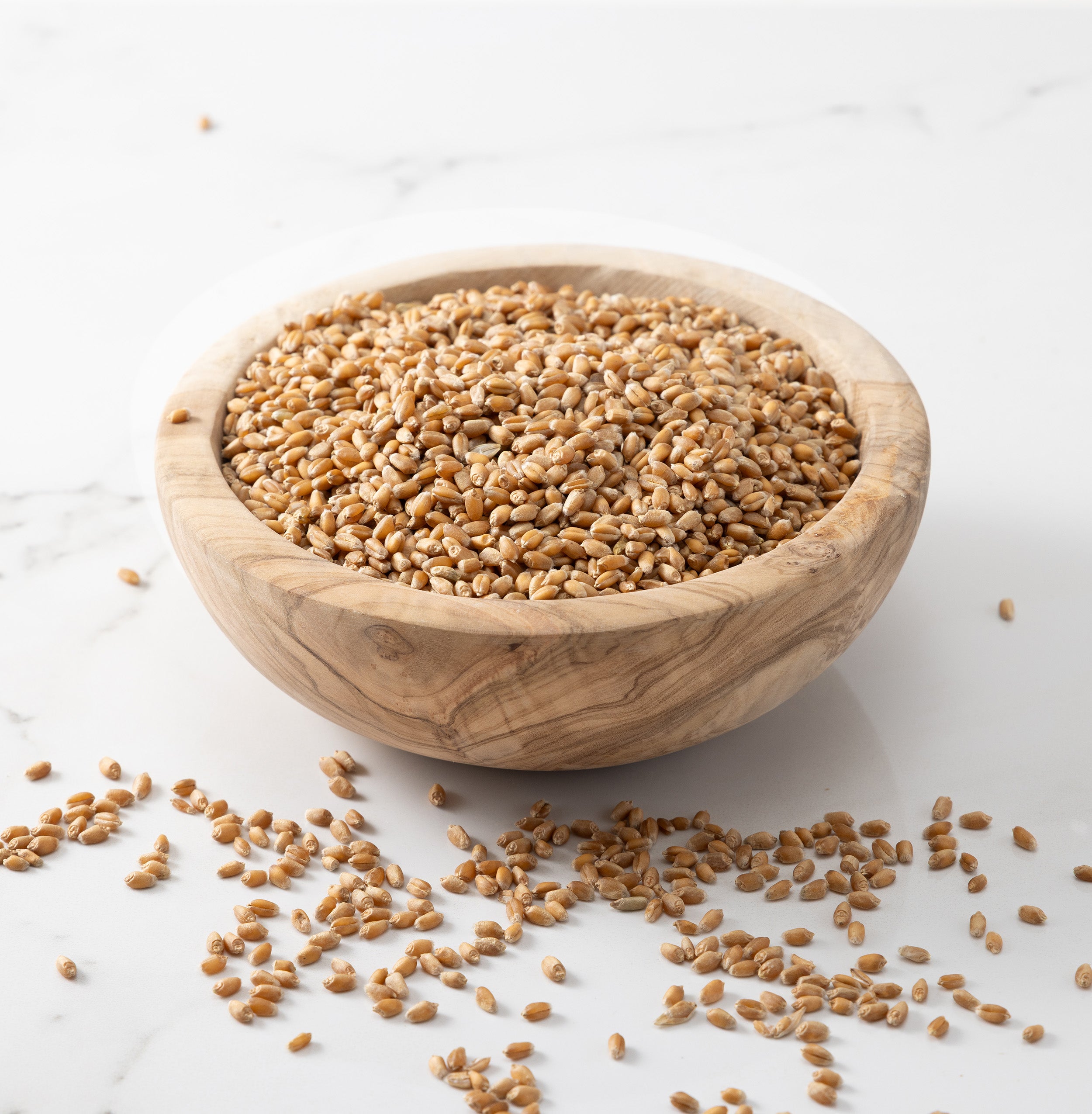 A wooden bowl filled with rouge de bourdeaux whole wheat grains, with a few scattered on a light marble surface.