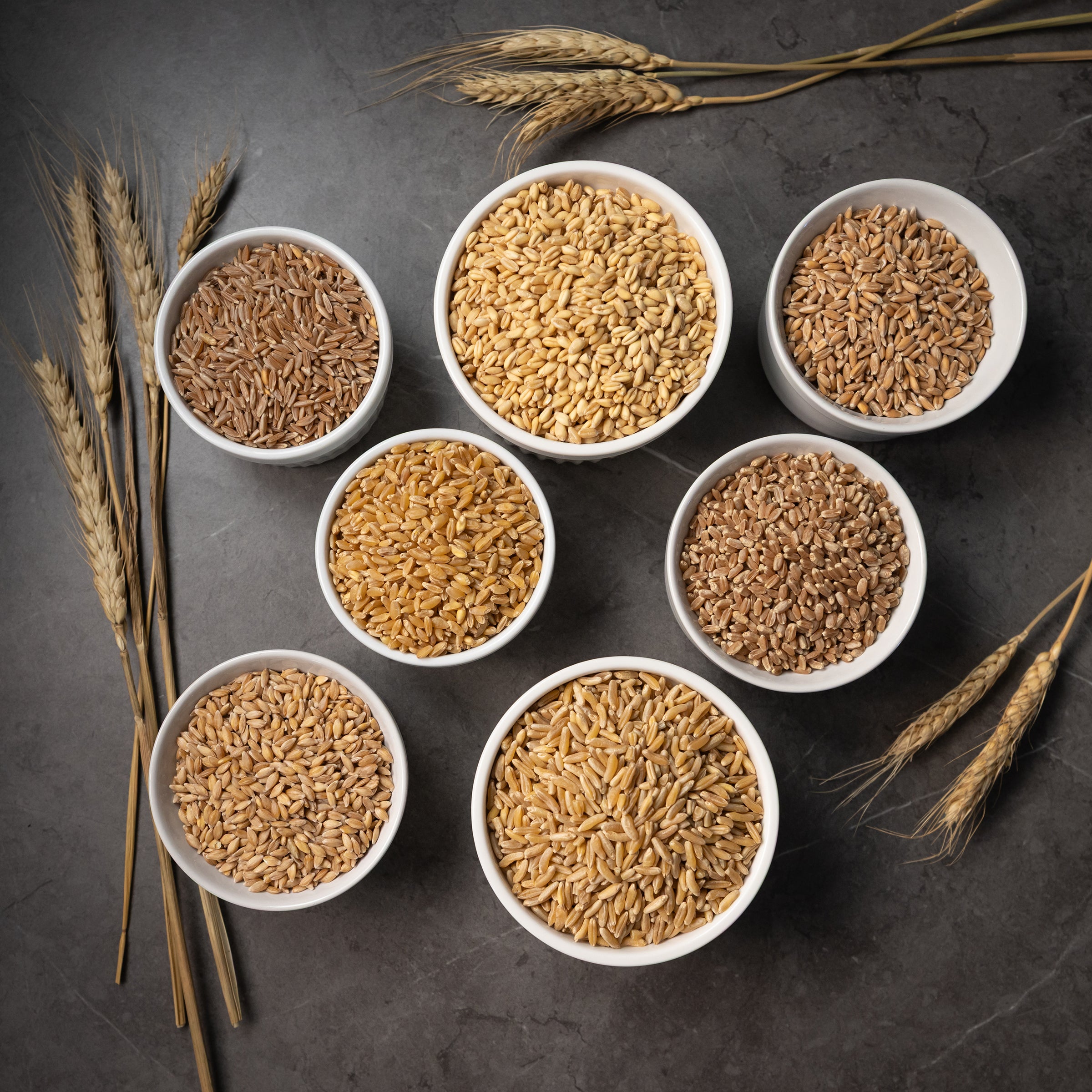 Seven white bowls filled with different types of wheat grains, arranged on a dark gray textured surface with decorative wheat stalks in the corners.