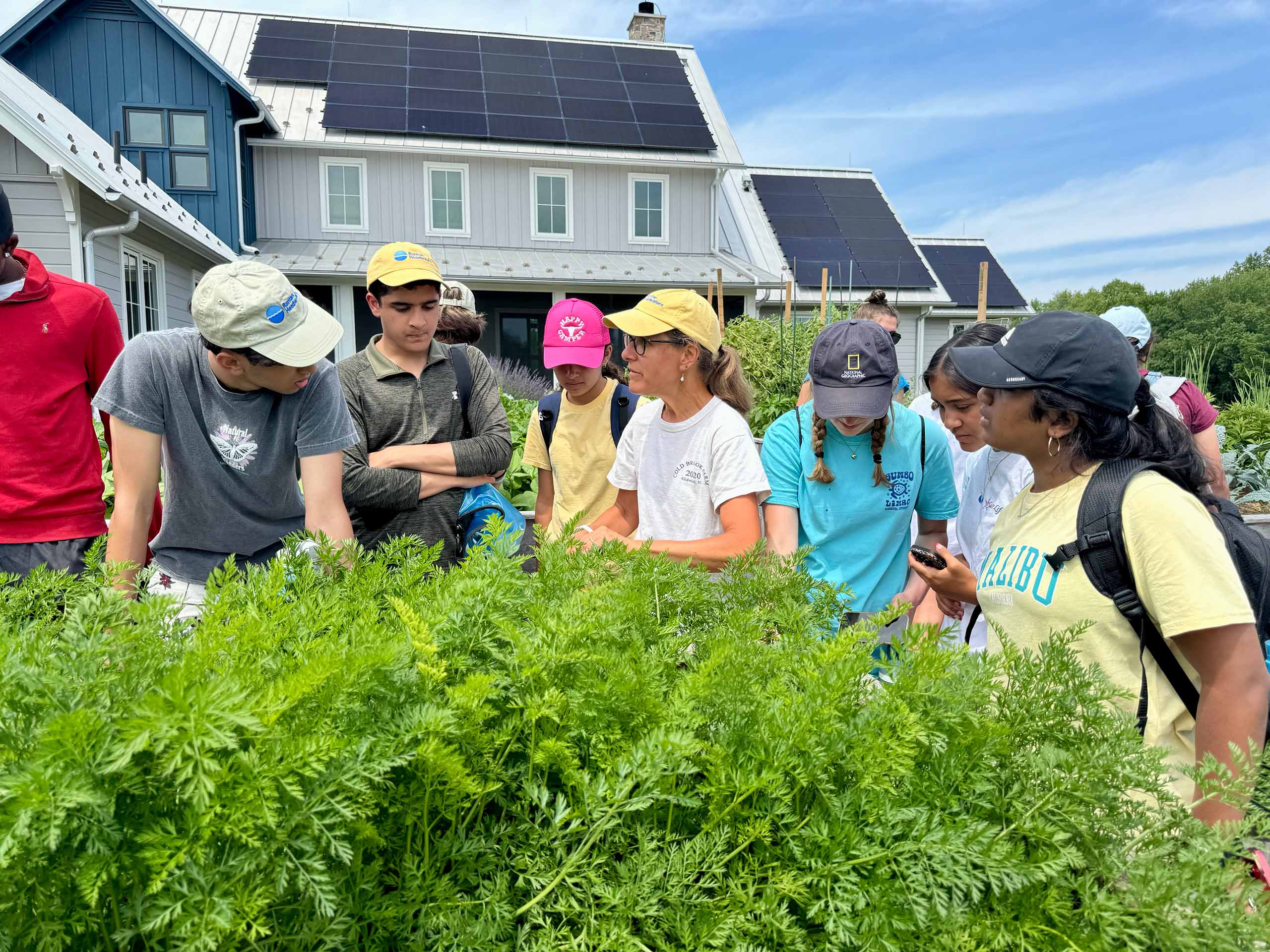 A group of people outdoors in front of a house with solar panels, gathered around and looking closely at leafy green plants in the foreground.