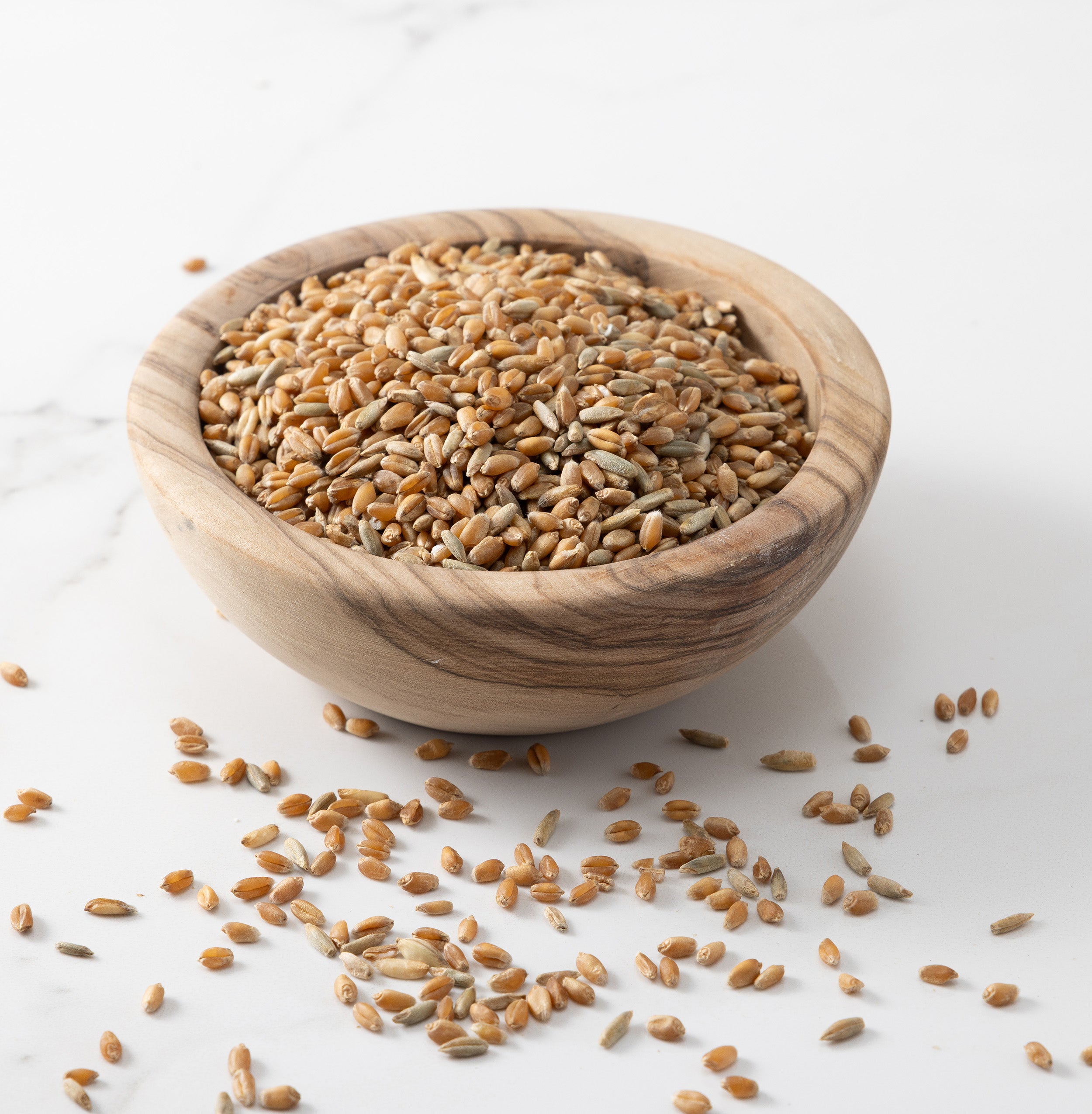 A wooden bowl filled with cold brook farm's baker's blend whole wheat grains, with a few scattered on a light marble surface.