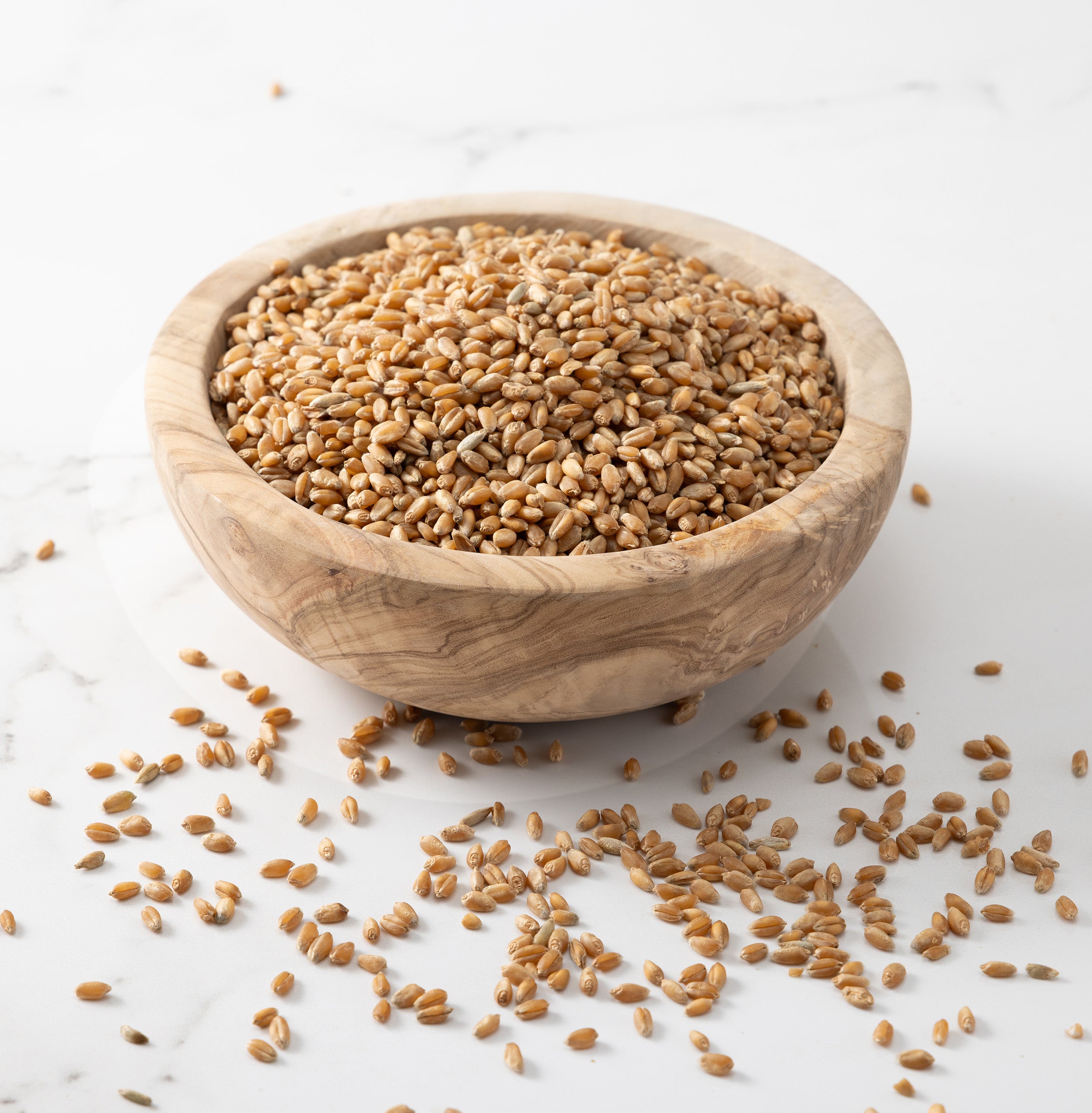 A wooden bowl filled with redeemer whole wheat grains, with a few scattered on a light marble surface.