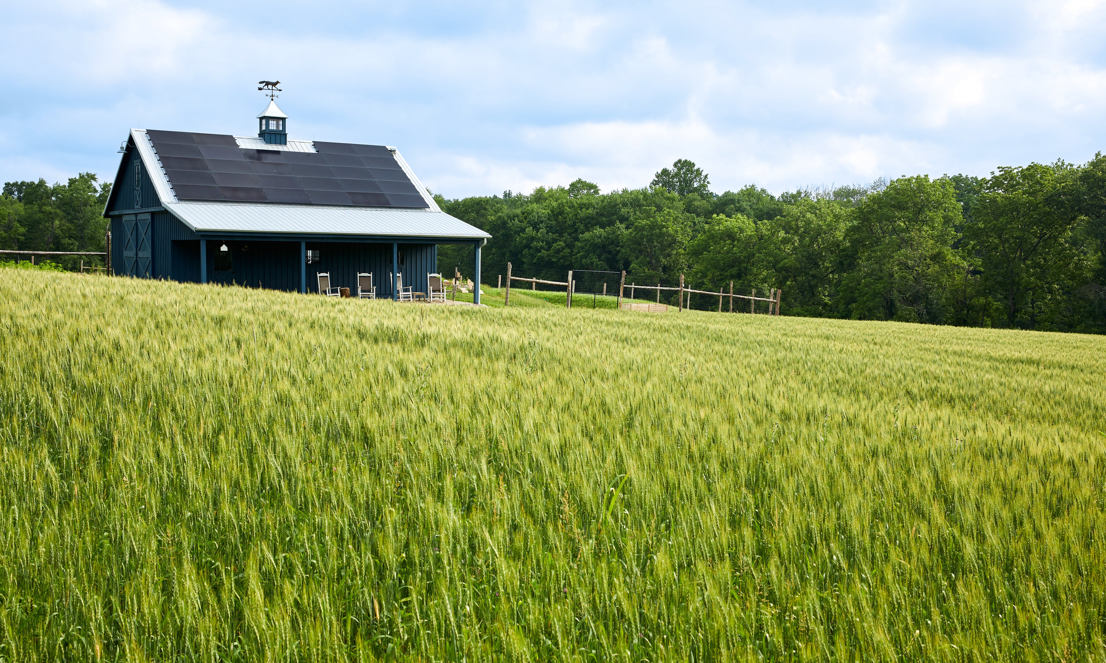 A scenic landscape photograph of a green wheat field with a dark blue barn featuring solar panels on its roof, set against a backdrop of dense green trees and a cloudy blue sky.