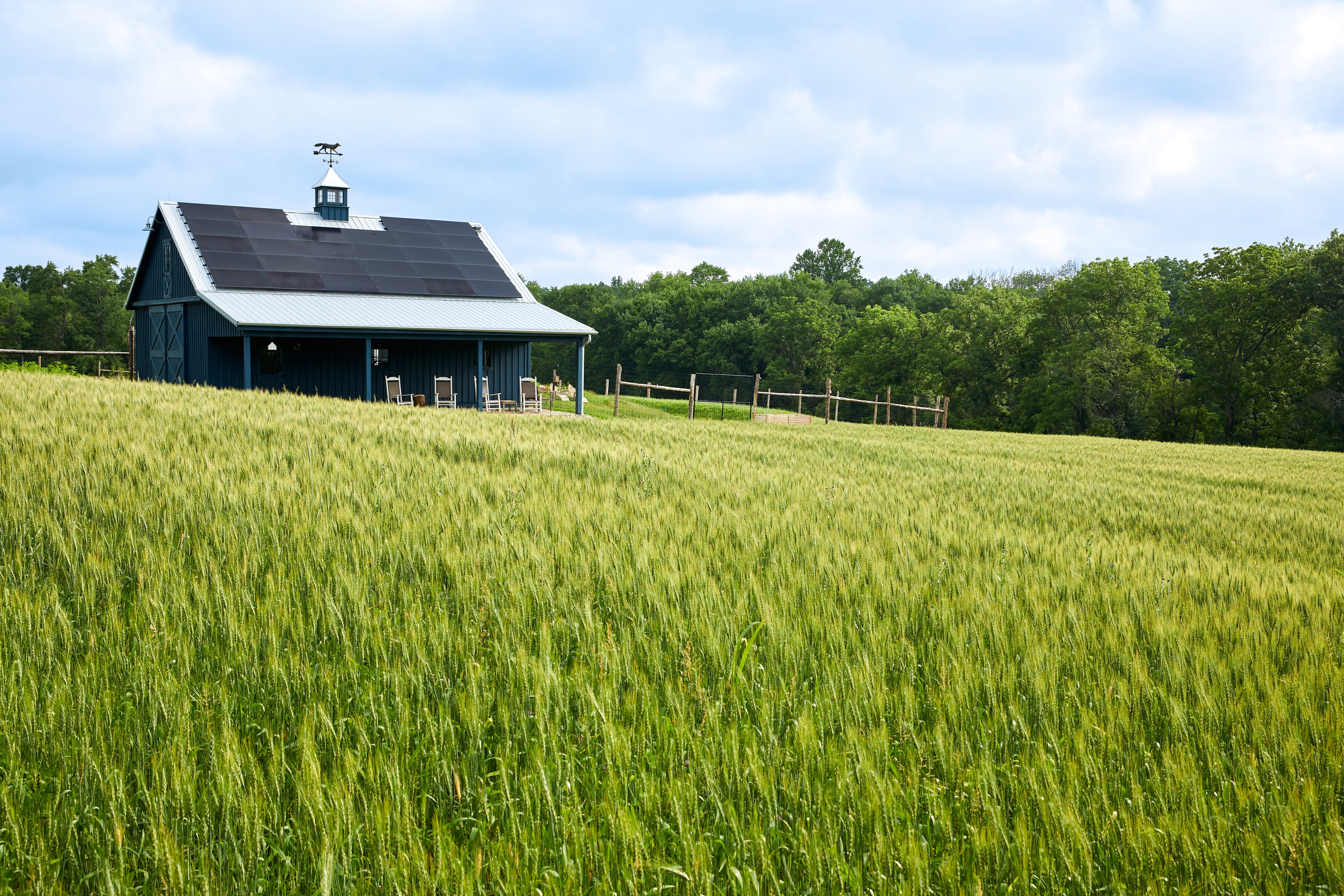 A scenic landscape photograph of a green wheat field with a dark blue barn featuring solar panels on its roof, set against a backdrop of dense green trees and a cloudy blue sky.