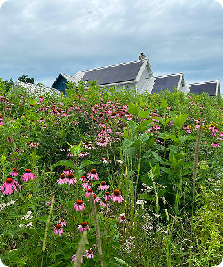 Environmental Stewardship