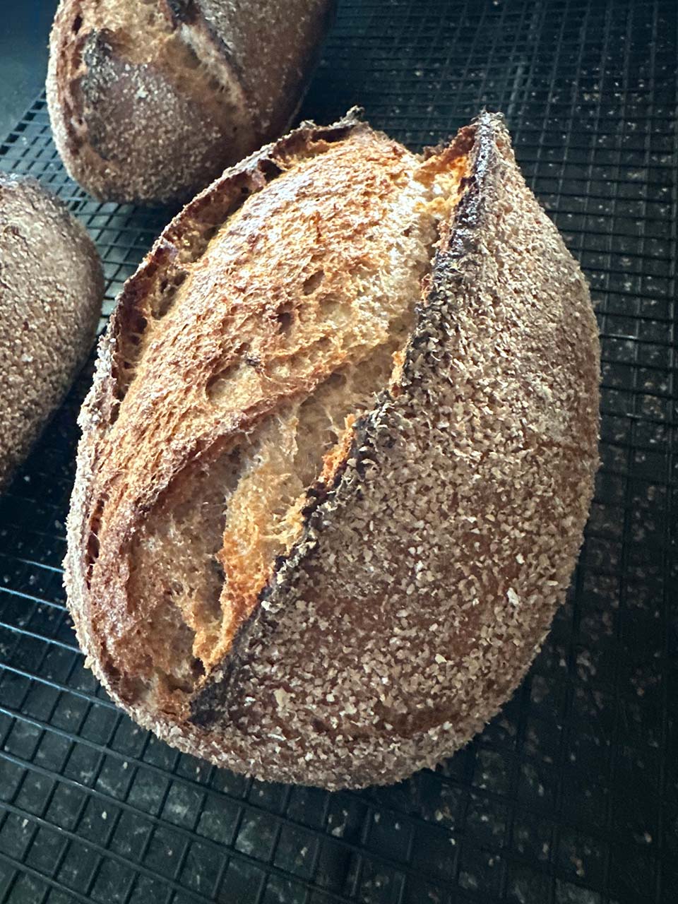 A close-up of a rustic round artisan bread loaf with a flour-dusted crust, resting on a black cooling rack with other loaves partially visible in the background.