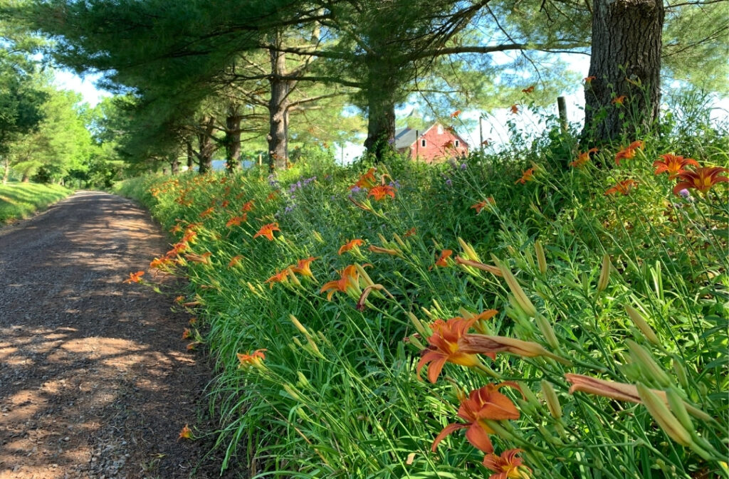 Cold Brook Farm A ZeroEnergy Homestead Oldwick, NJ