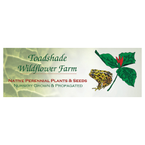 Toadshade Wildflower Farm
