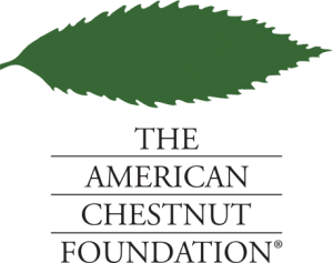 Cold Brook Farm Joins the American Chestnut Foundation