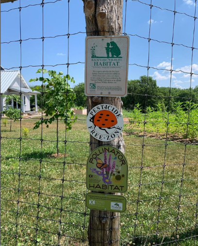 Cold Brook Farm Chosen as a Pollinator Habitat Restoration Project Site