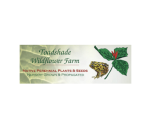 Toadshade wildflower farm