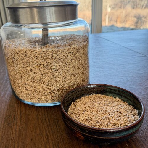 Organically Grown Raw Hulless Oats