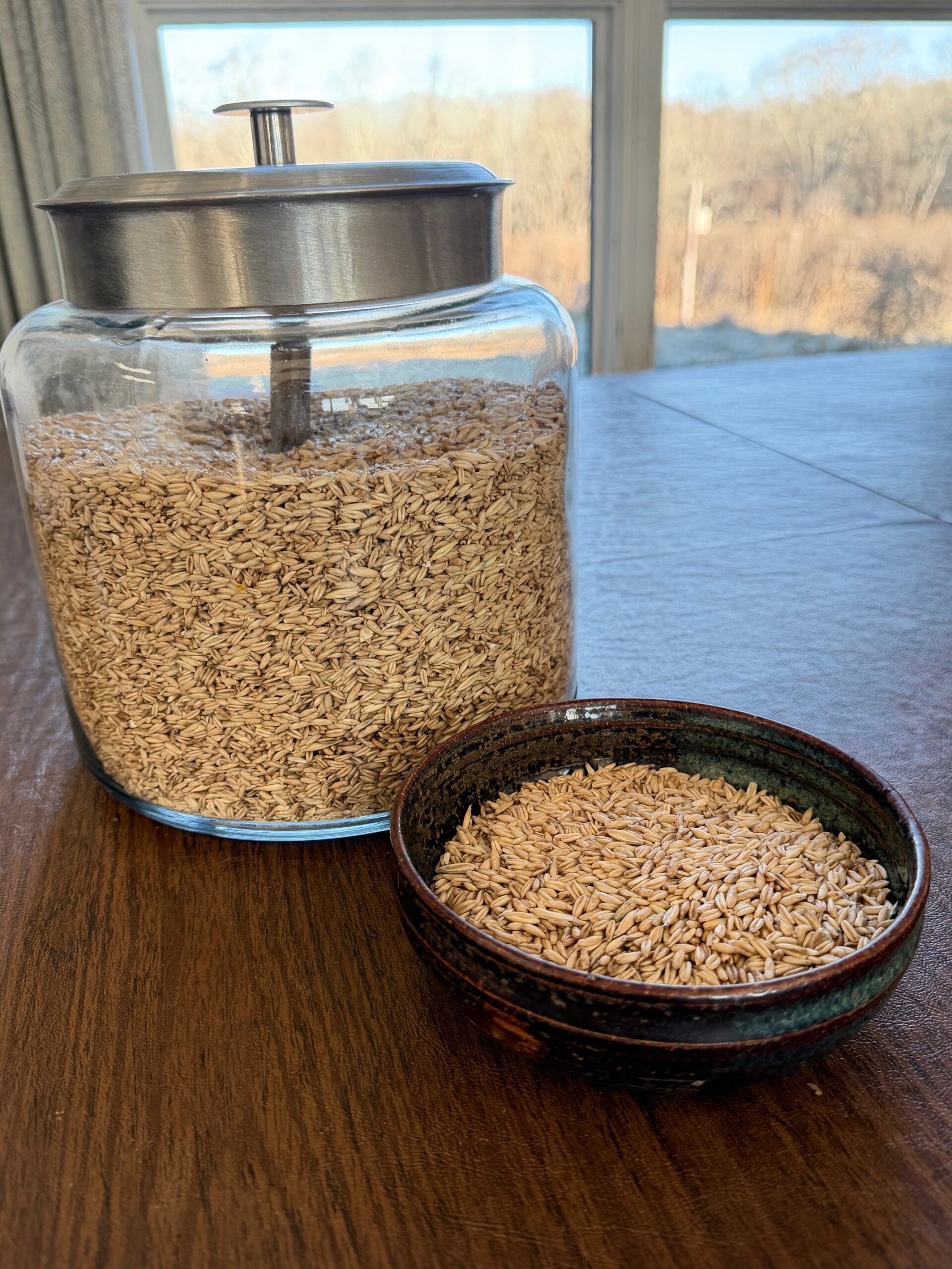 Organically Grown Raw Hulless Oats