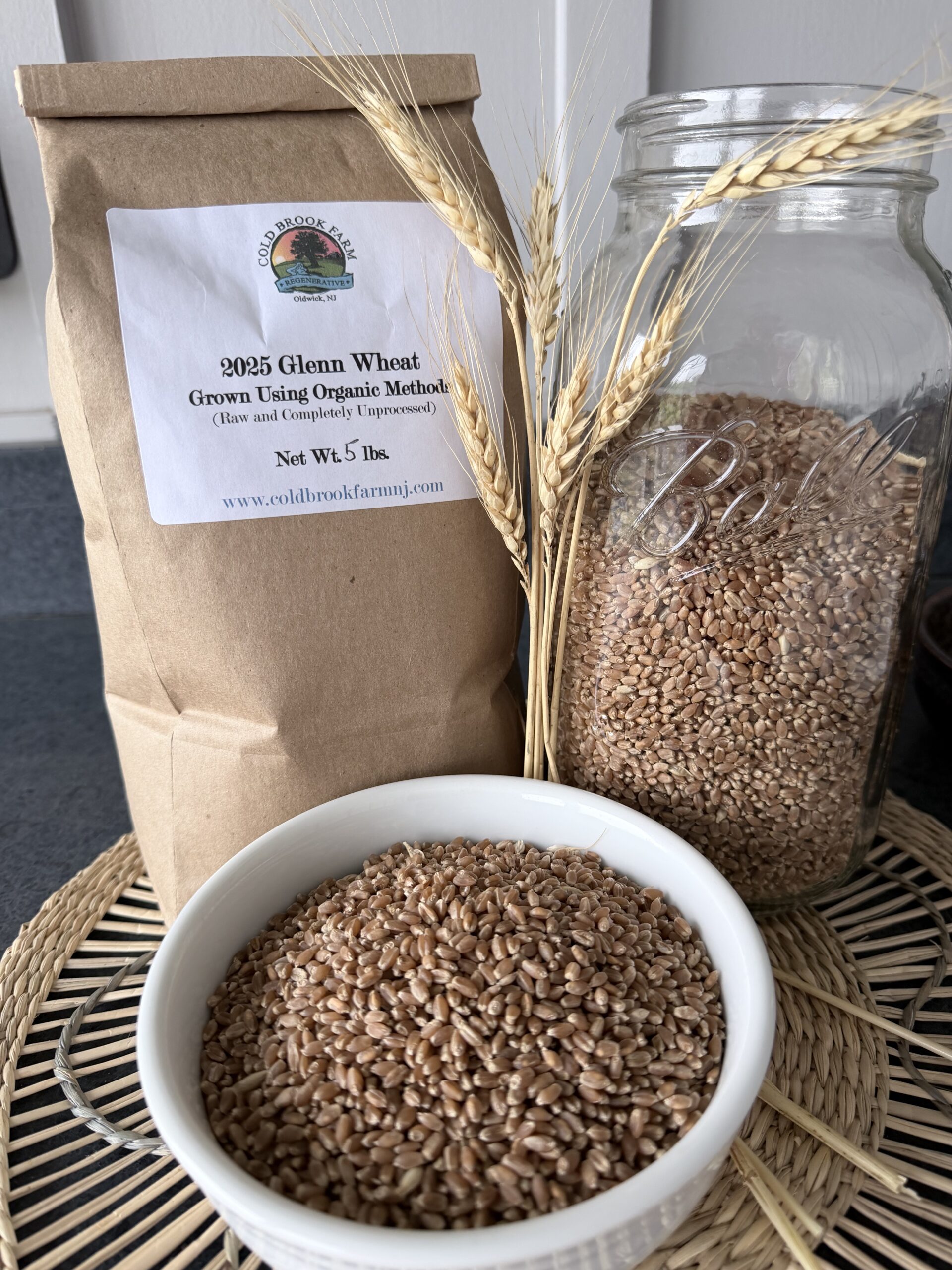 Organically Grown Glenn Wheat